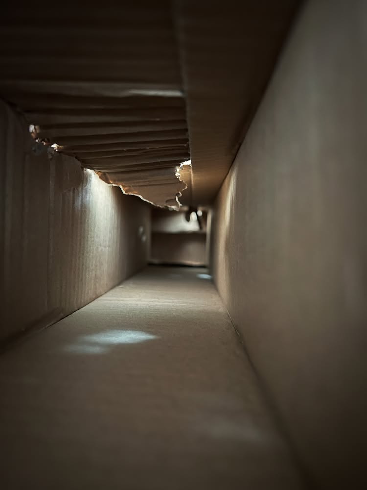 Corridor 01